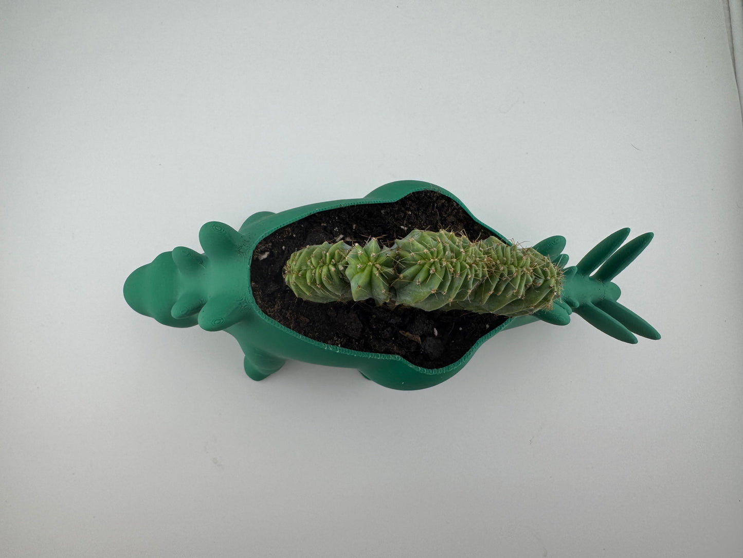 Flower Pot -- 3D Printed -- Stegasaurus