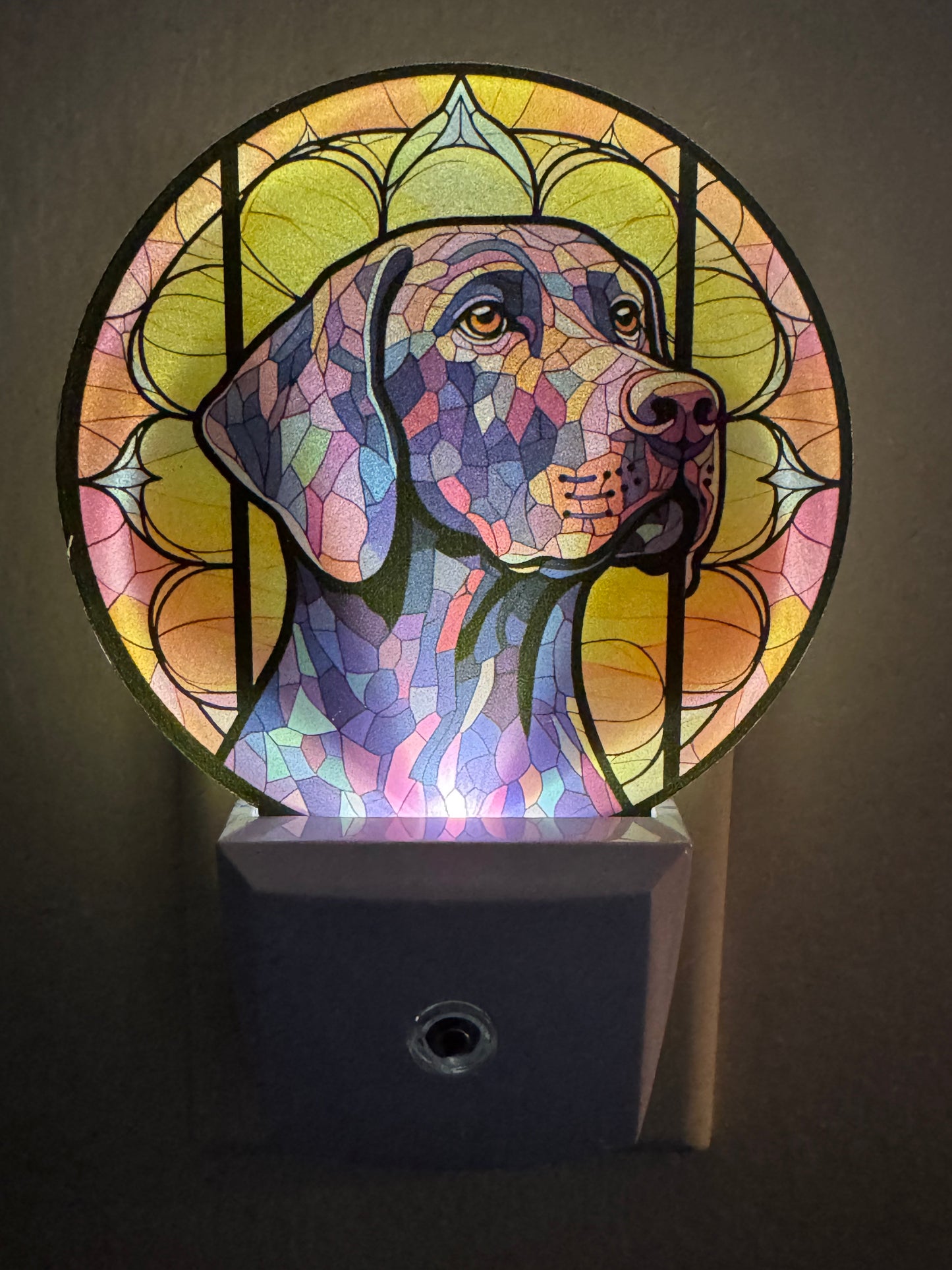 Night Light -- UV Printed -- German Shorthaired Pointer