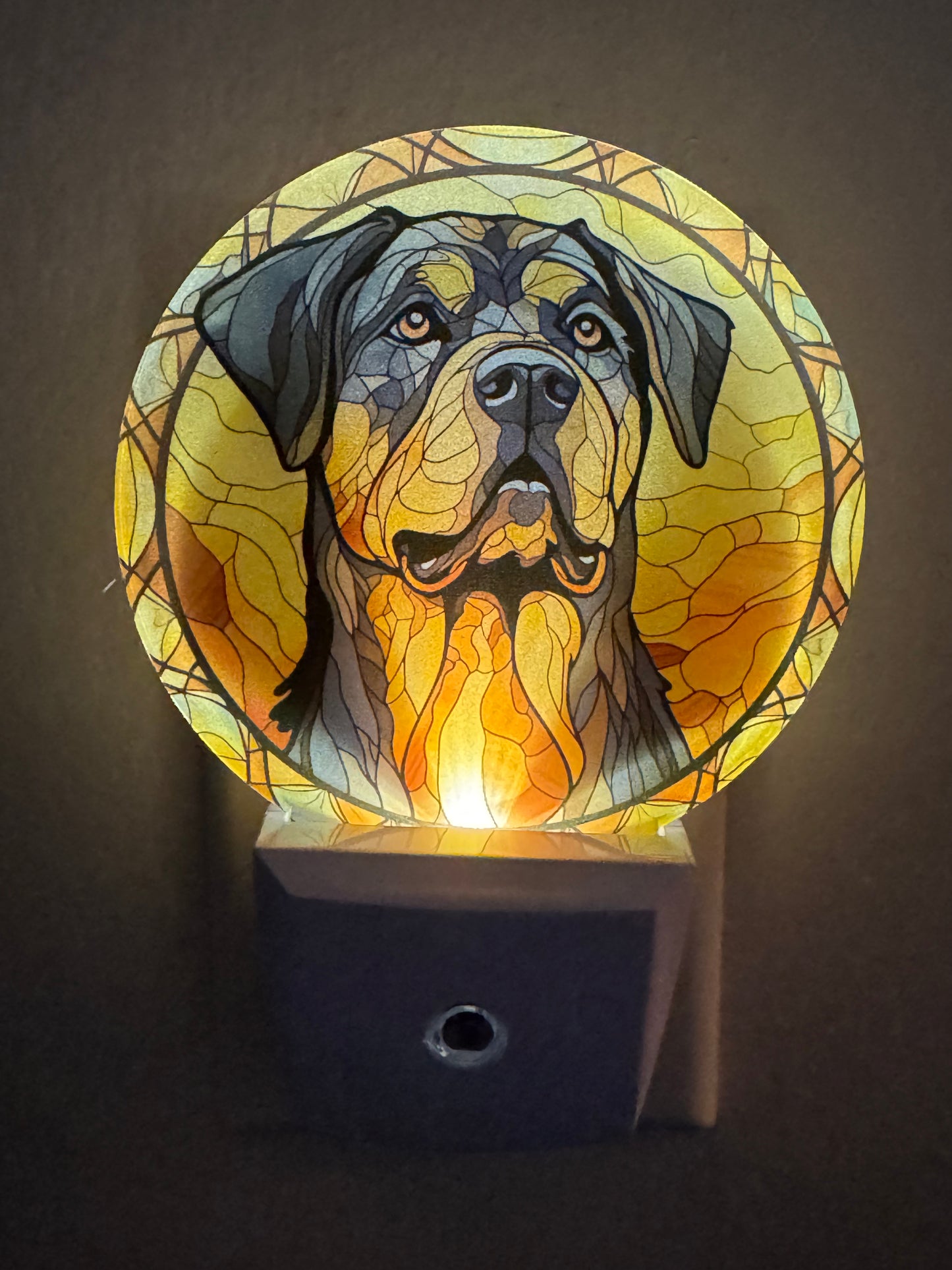Night Light -- UV Printed -- Rottweiler