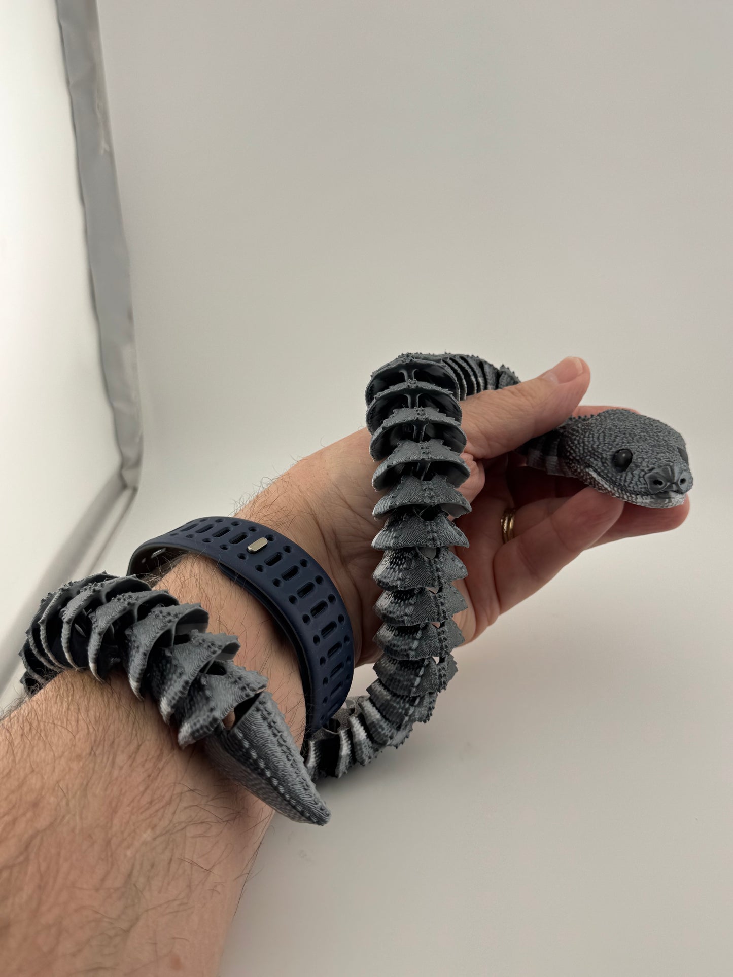 Reptile -- 3D Printed -- Xenodermus/Dragon Snake