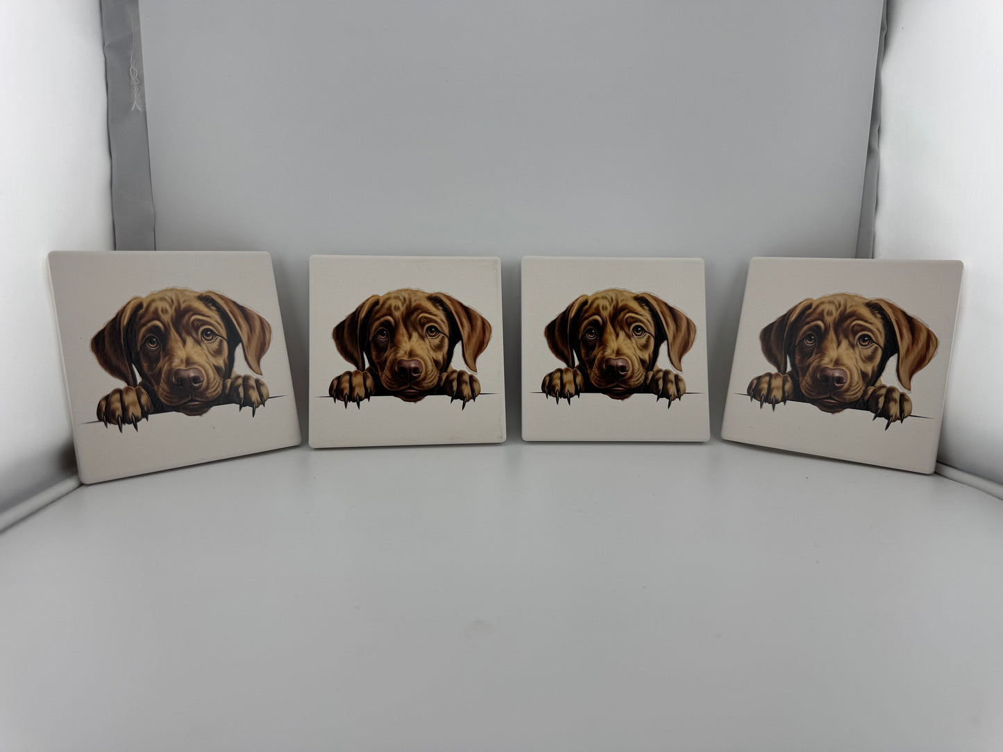 Coaster -- UV Printed -- Square -- Labrador Retriever (Set of 4)