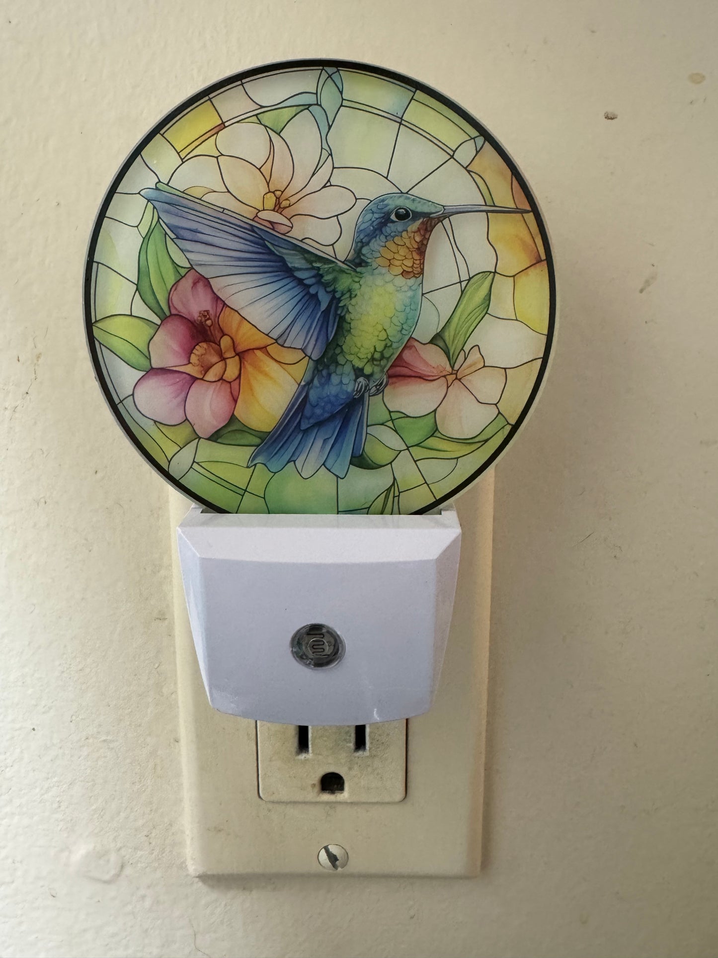 Night Light -- UV Printed -- Hummingbird 2