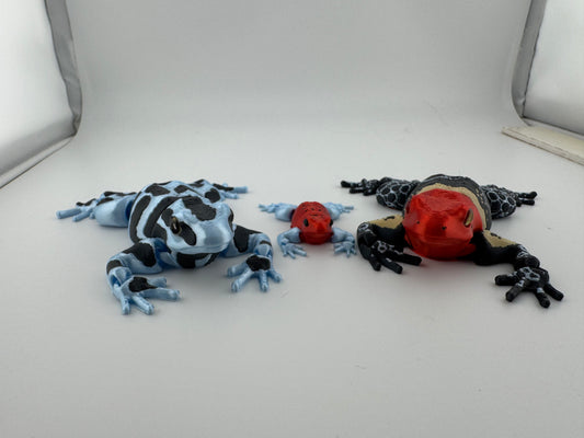 Amphibian -- 3D Printed -- Poisonous Tree Frogs