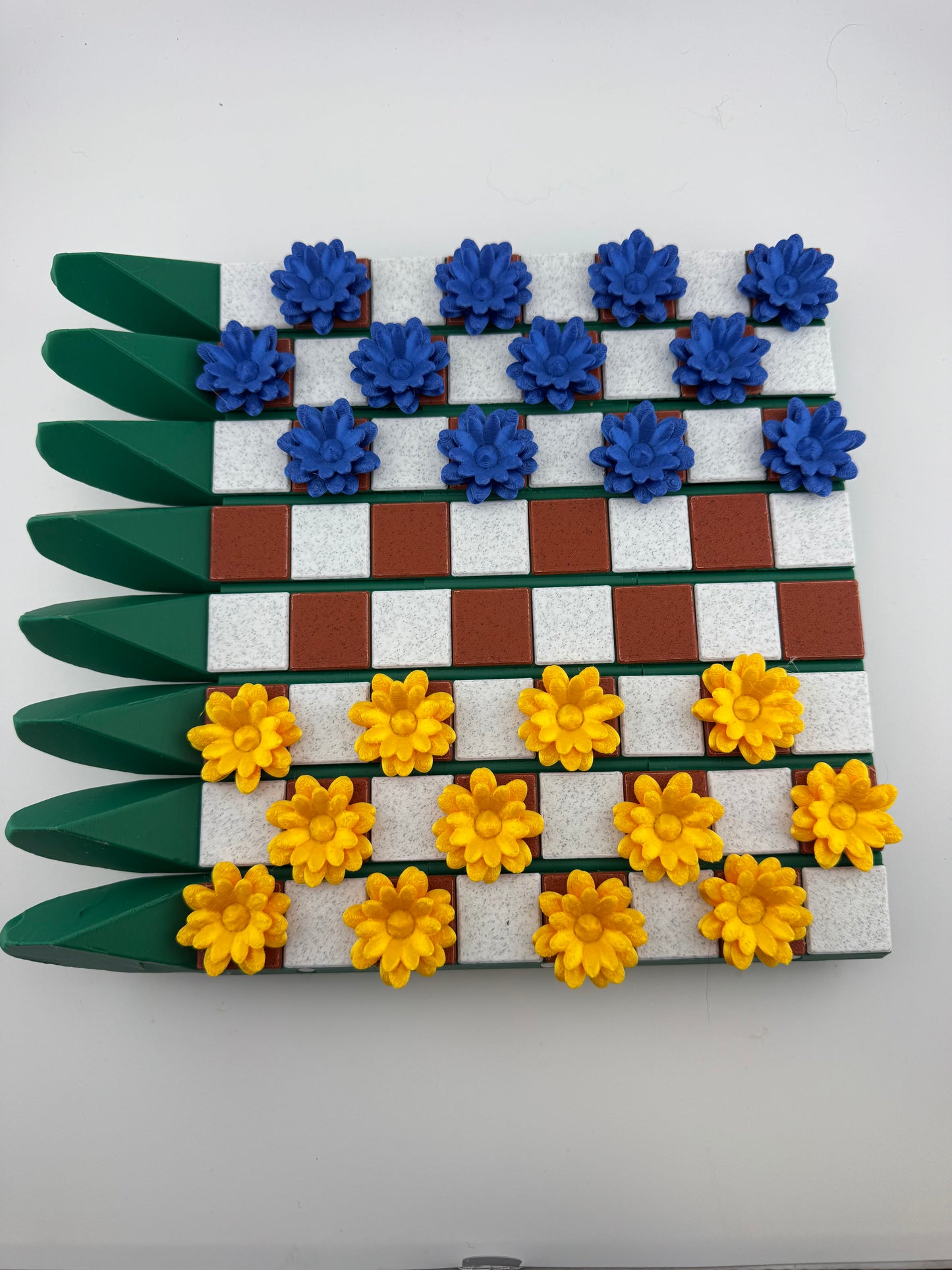 Chess Set -- 3D Printed -- CactiChess And Checkers