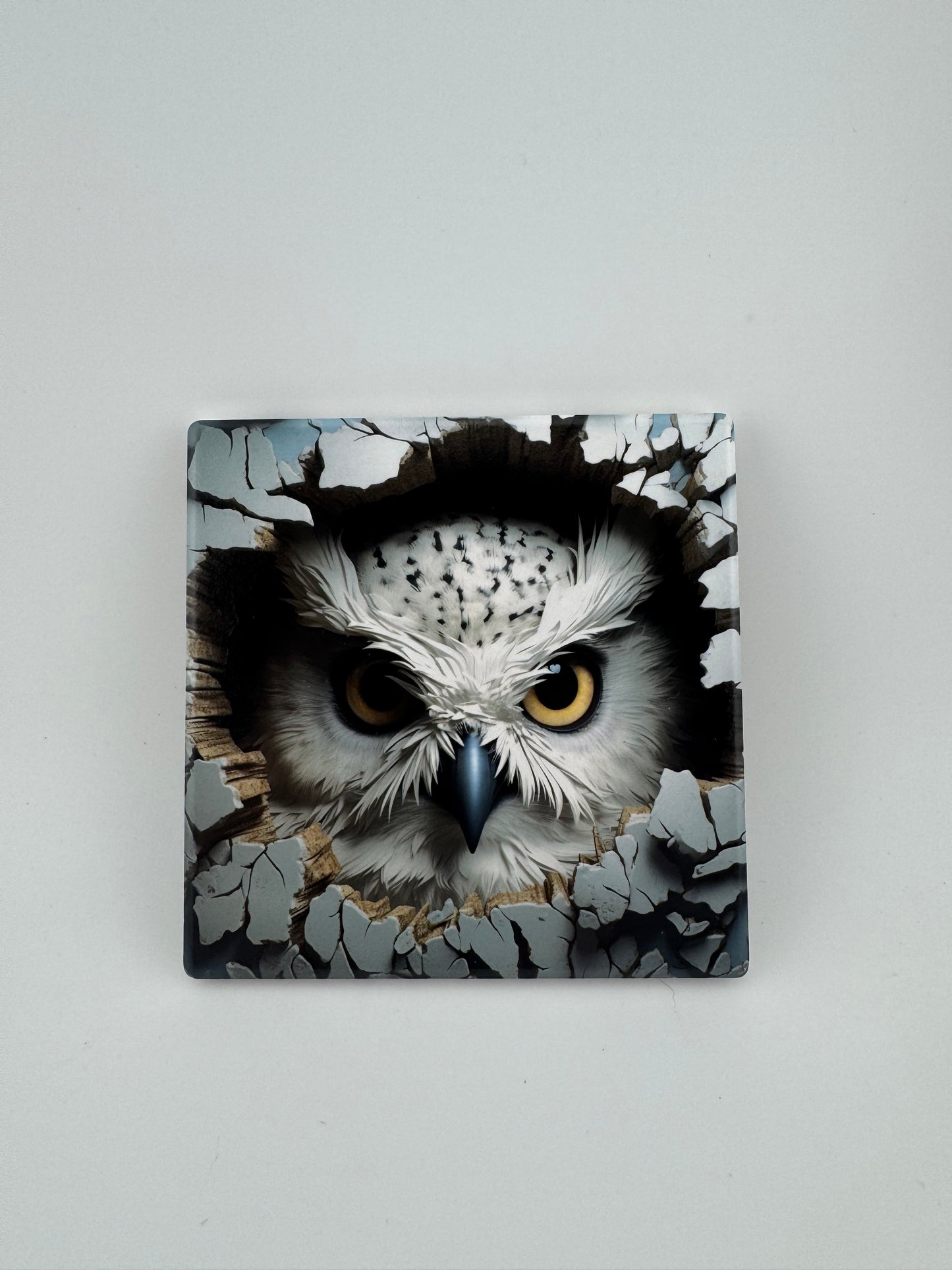 Coaster -- UV Printed -- Square -- Animals Emerging (Set of 4)