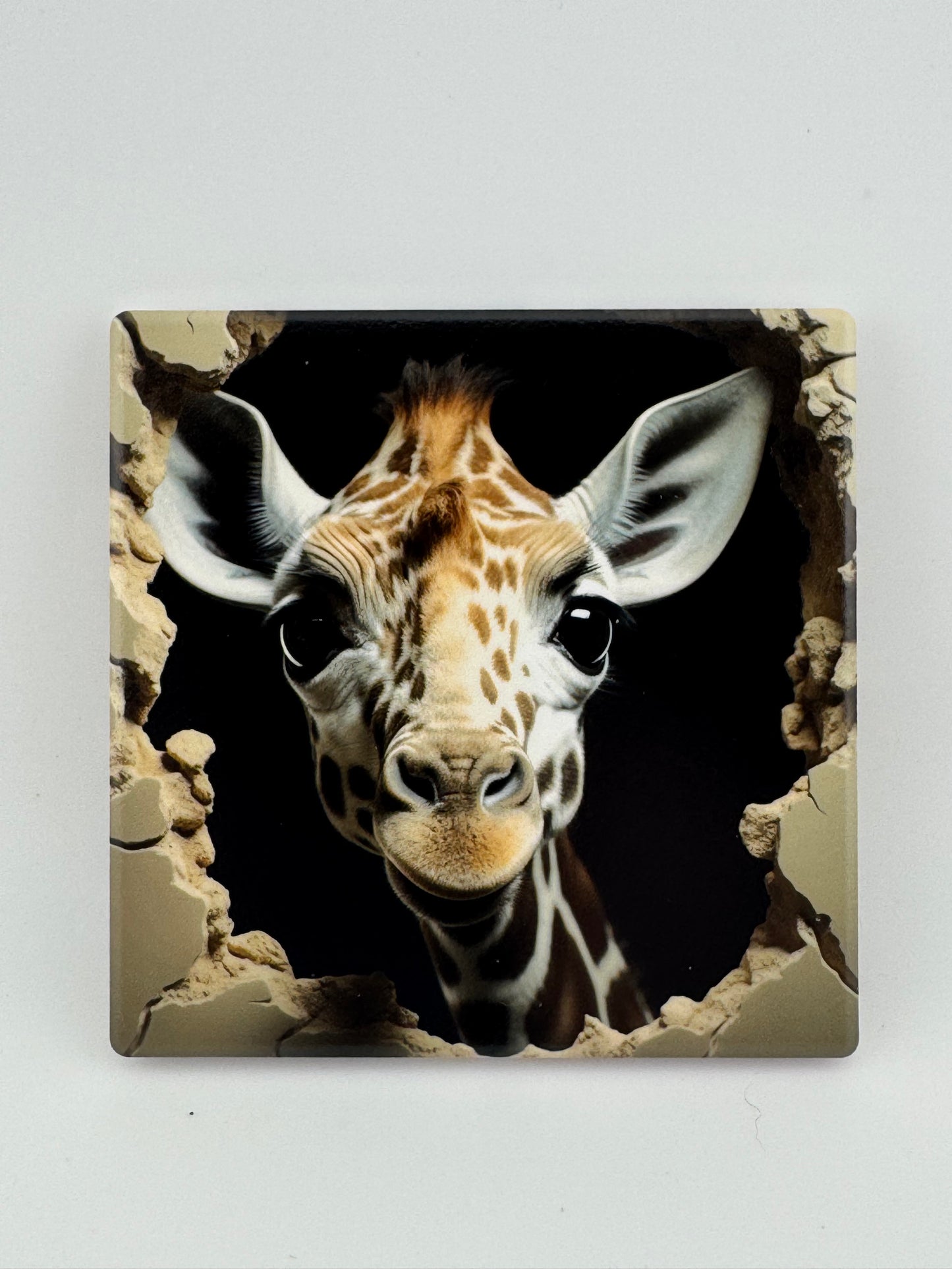 Coaster -- UV Printed -- Square -- Animals Emerging (Set of 4)