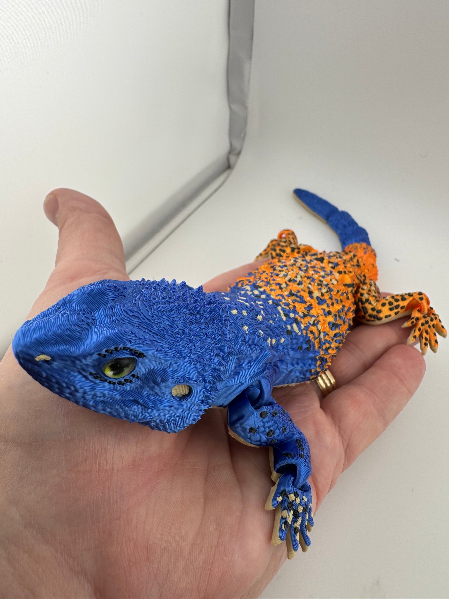 Reptile -- 3D Printed -- Agama Lizard