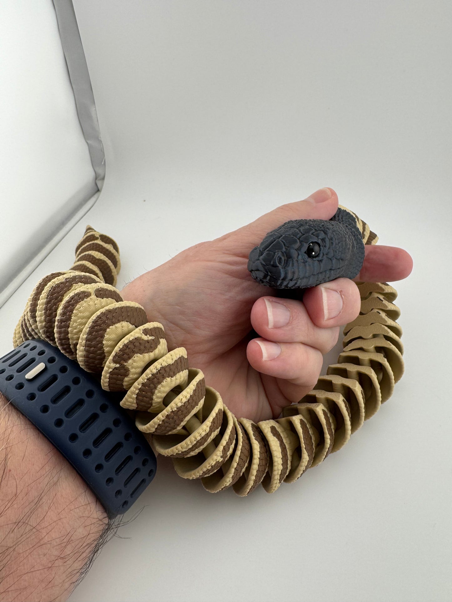 Reptile -- 3D Printed -- Black-Headed Python