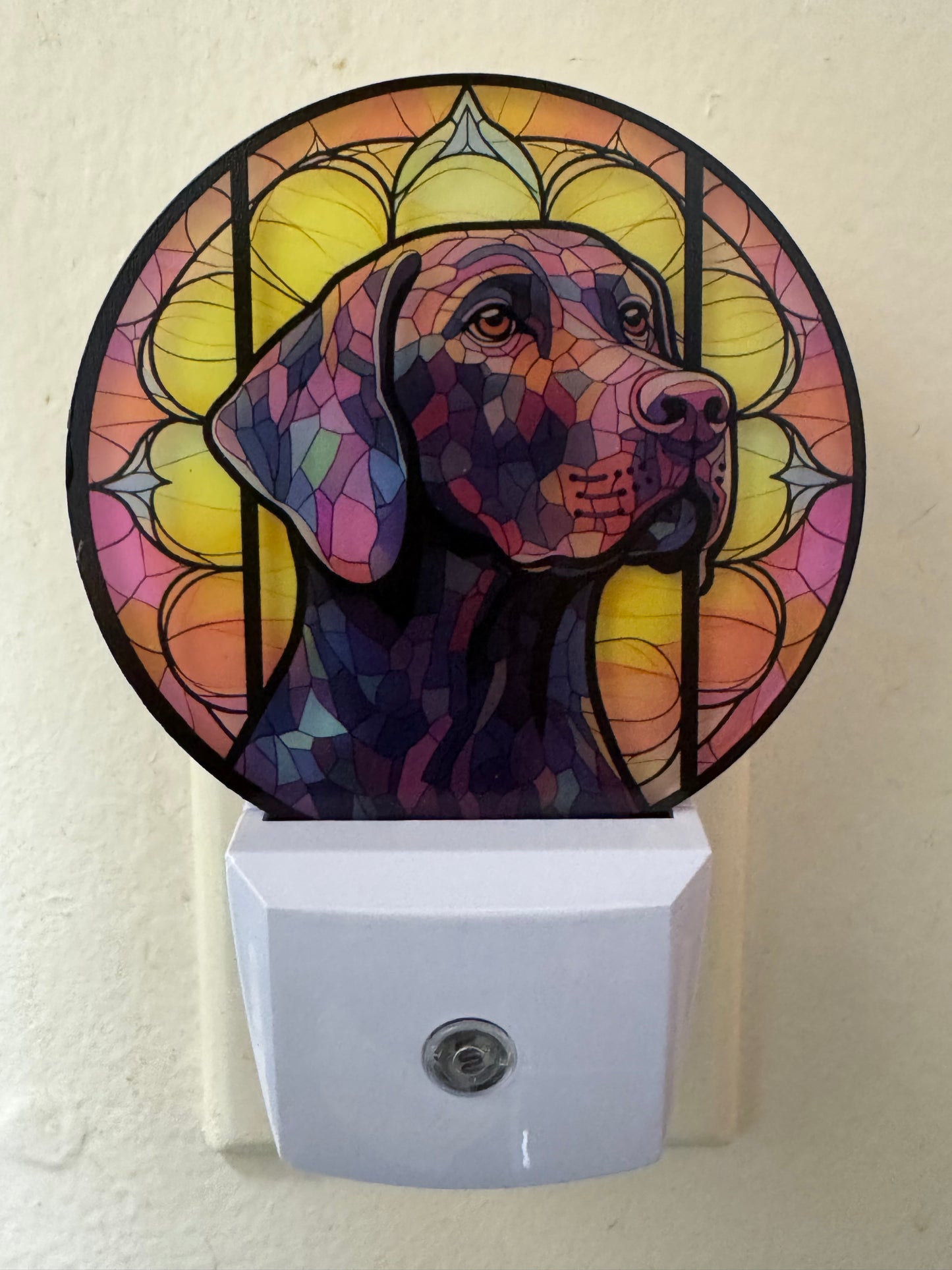 Night Light -- UV Printed -- German Shorthaired Pointer
