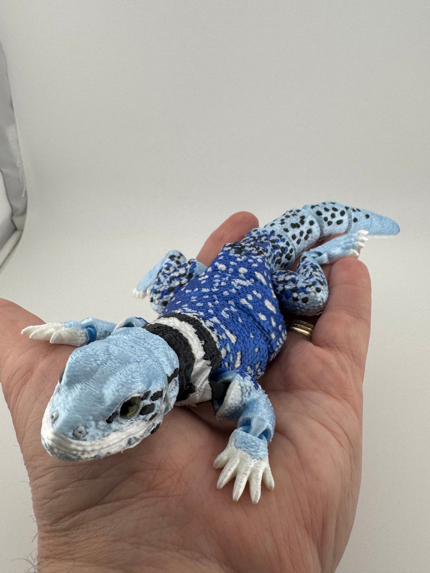 Reptile -- 3D Printed -- Collared Dickerson Lizard