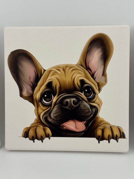 Coaster -- UV Printed -- Square -- French Bulldog (Set of 4)