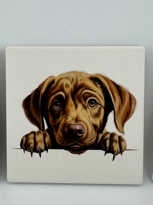 Coaster -- UV Printed -- Square -- Labrador Retriever (Set of 4)