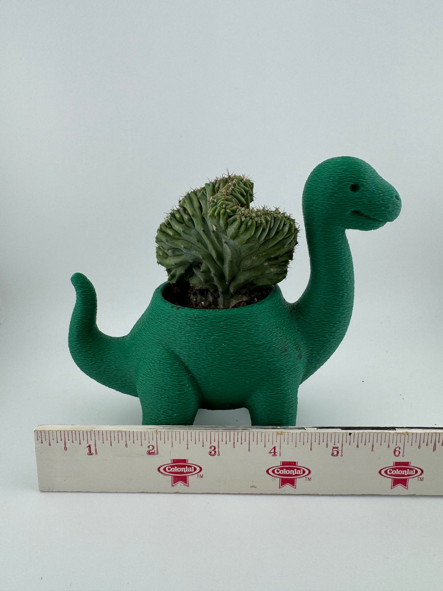 Flower Pot -- 3D Printed -- Brontosaurus