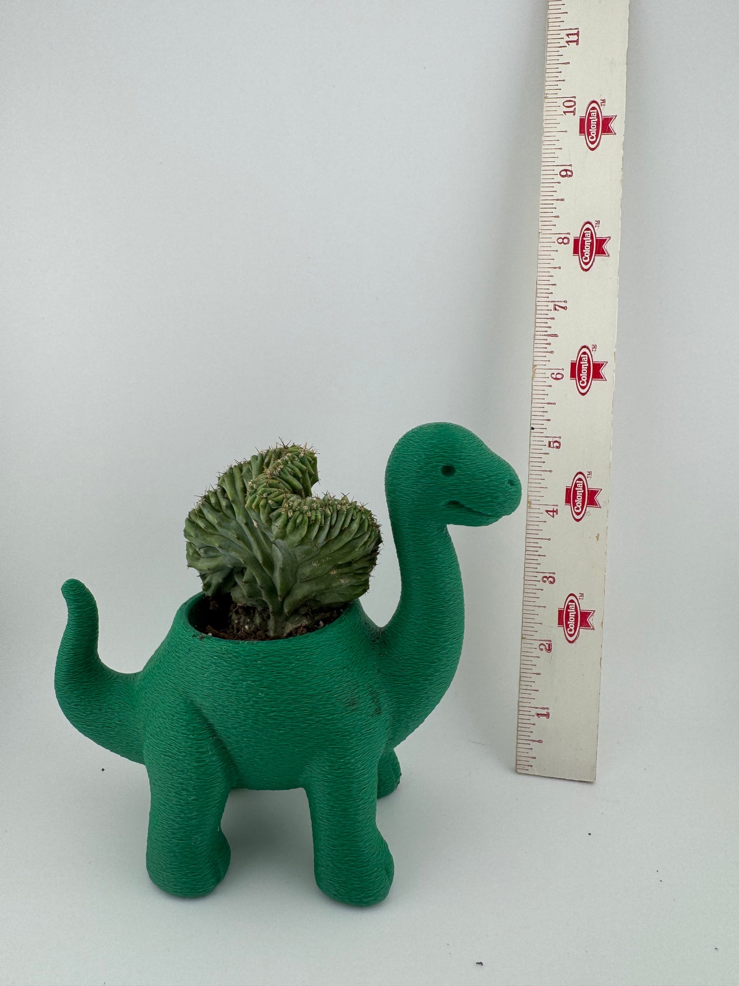 Flower Pot -- 3D Printed -- Brontosaurus
