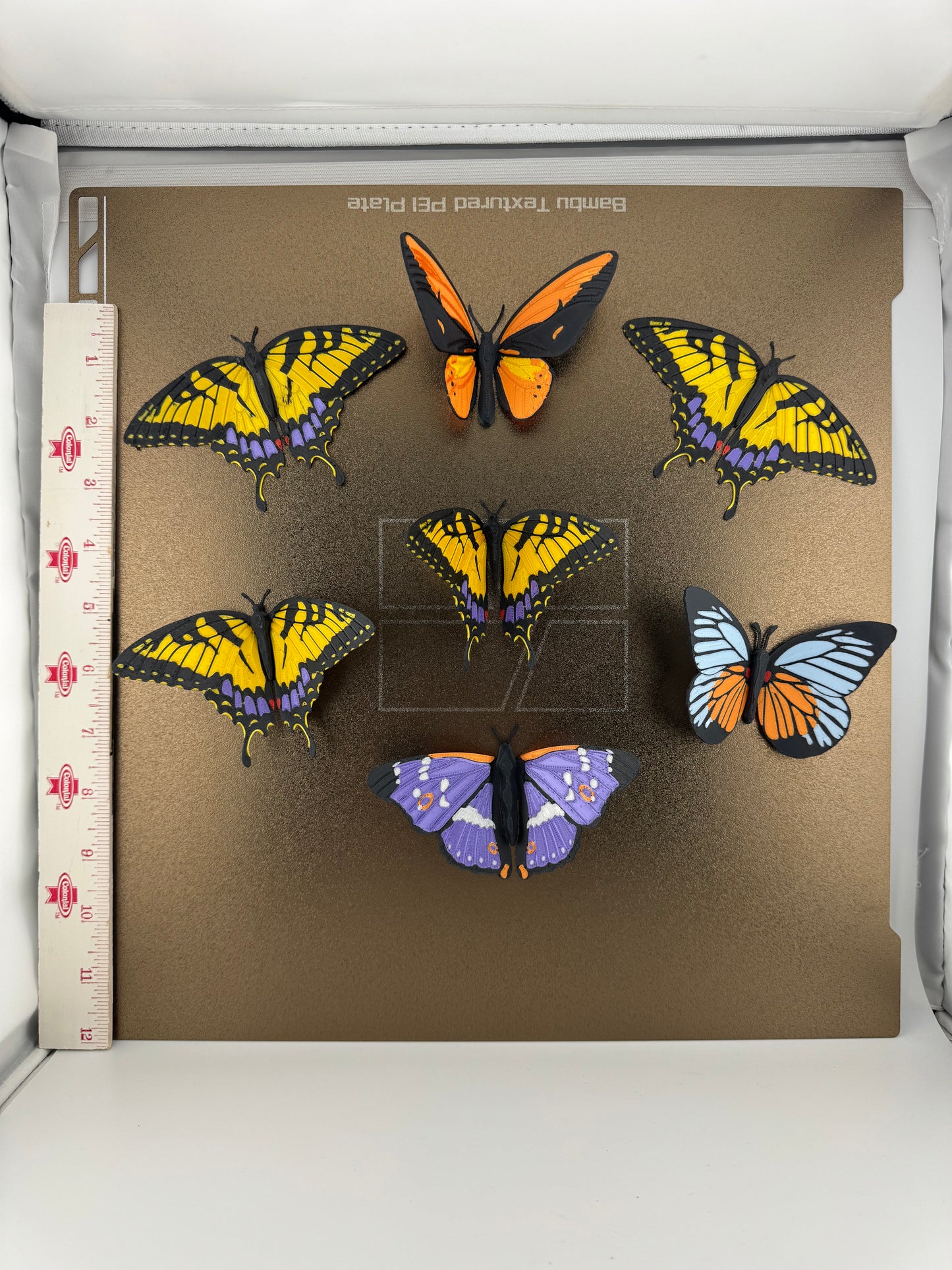 Referigerator Magnet -- 3D Printed -- Butterfly Collection