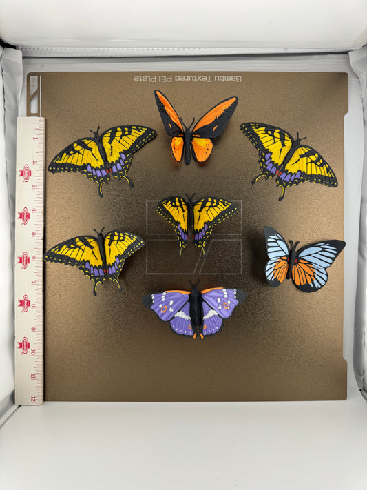 Referigerator Magnet -- 3D Printed -- Butterfly Collection
