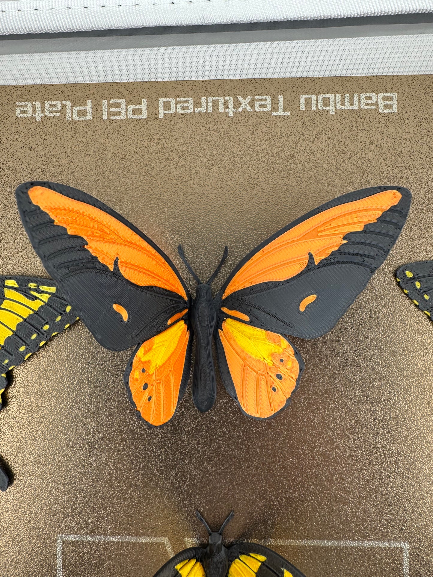 Referigerator Magnet -- 3D Printed -- Butterfly Collection