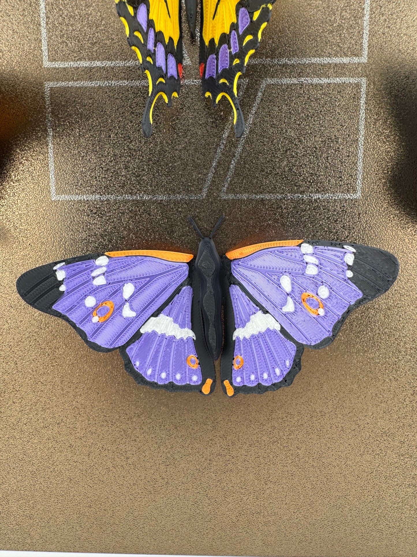 Referigerator Magnet -- 3D Printed -- Butterfly Collection