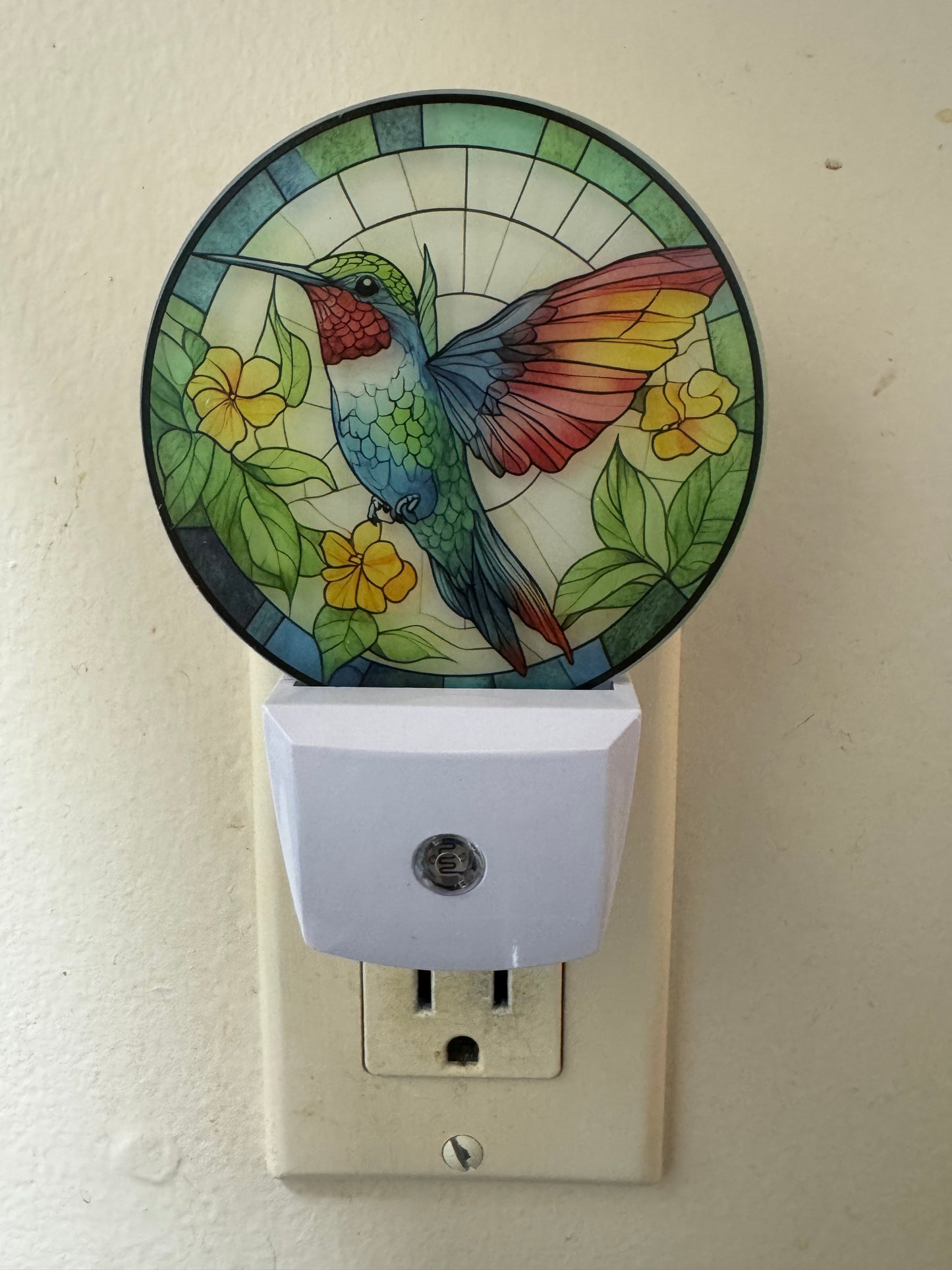 Night Light -- UV Printed -- Hummingbird 5