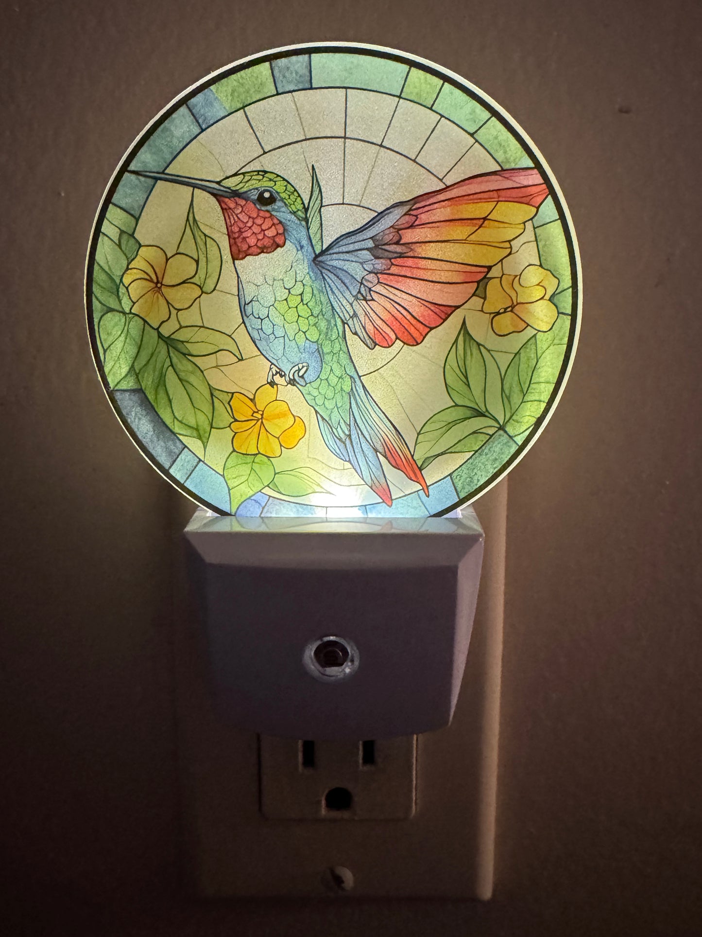 Night Light -- UV Printed -- Hummingbird 5