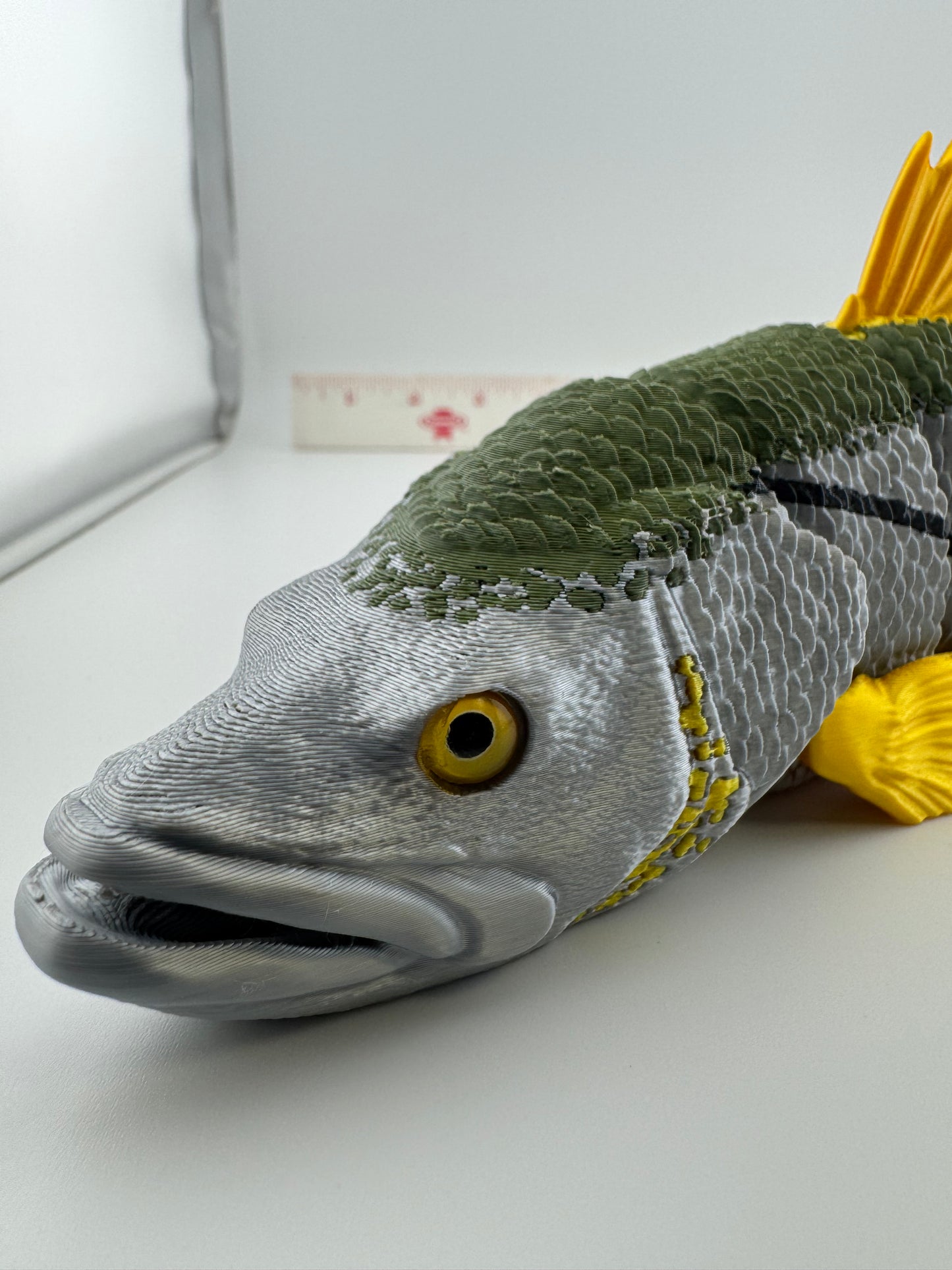 Fish -- 3D Printed -- Snook