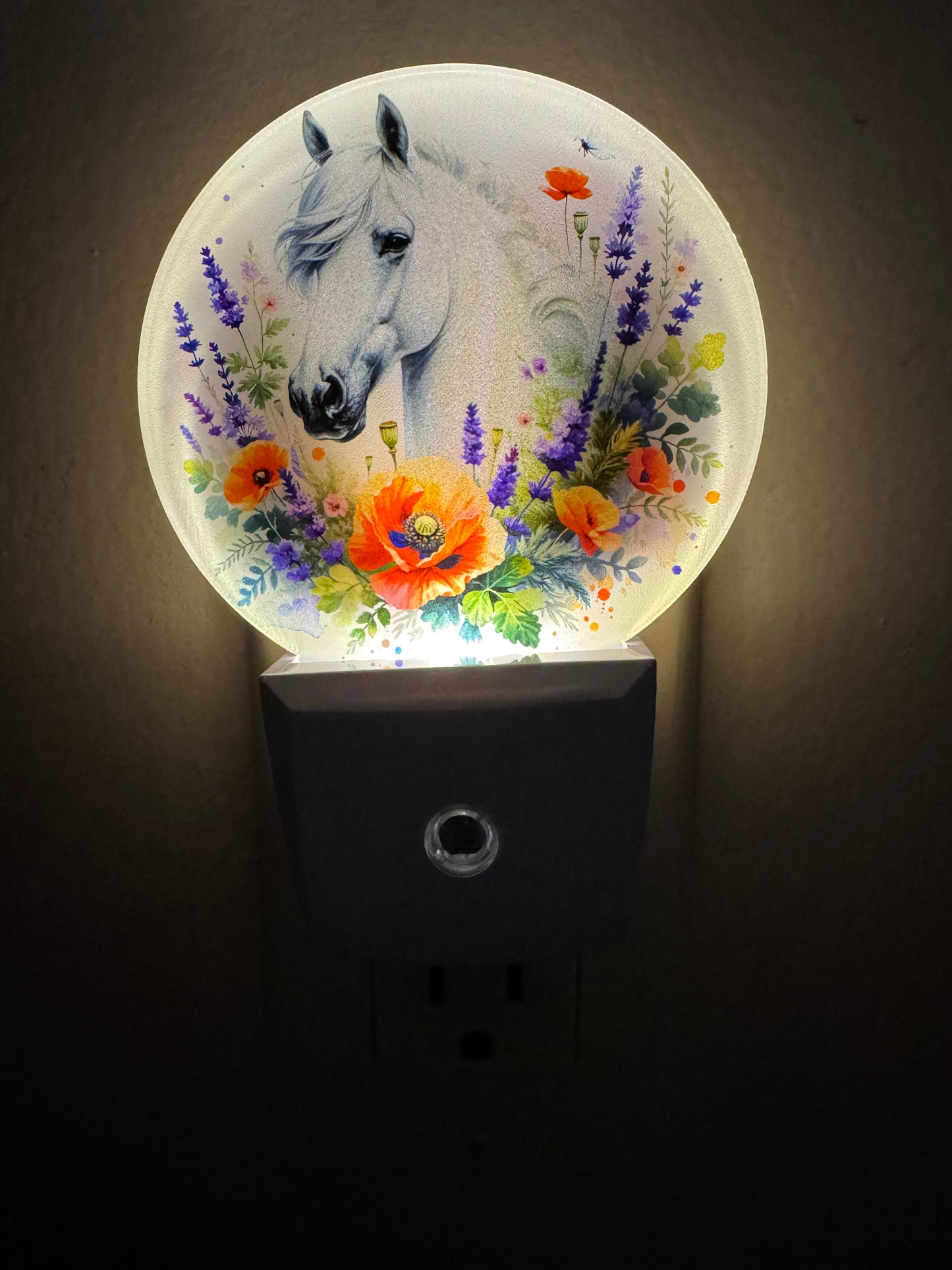 Night Light -- UV Printed -- Horse and Flowers