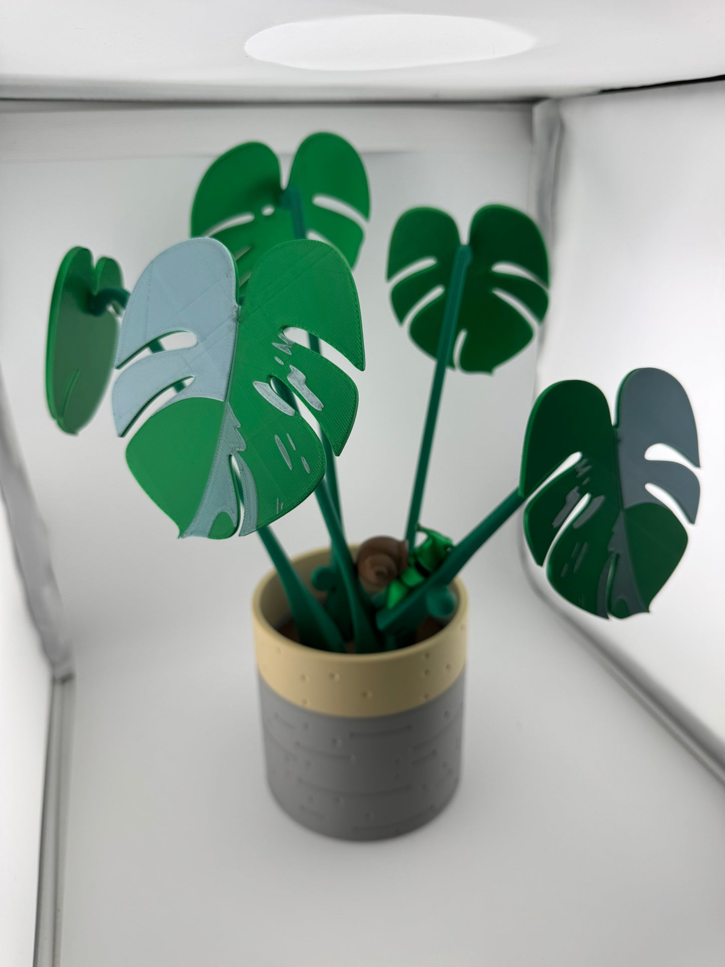 Coaster -- 3D Printed -- Monstera Coaster Set