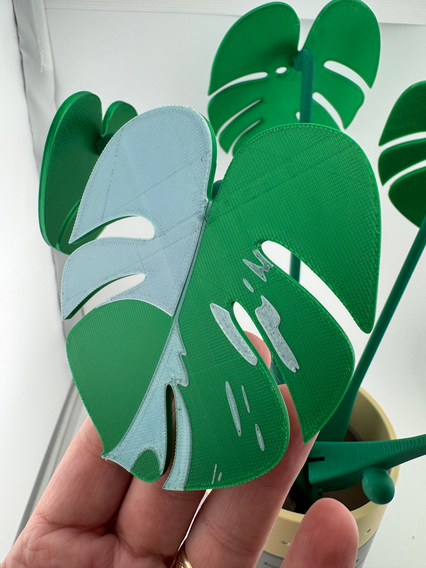 Coaster -- 3D Printed -- Monstera Coaster Set
