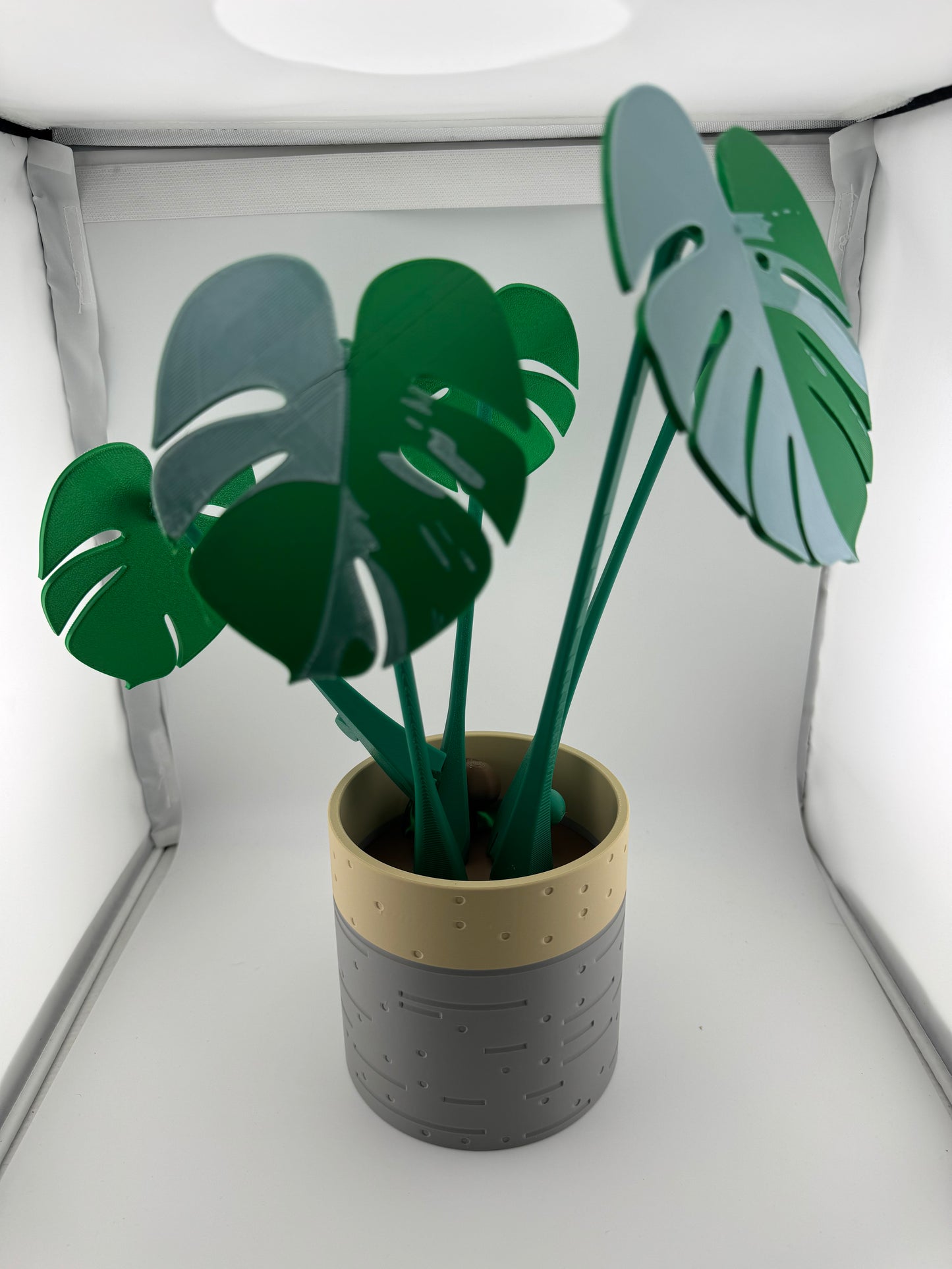Coaster -- 3D Printed -- Monstera Coaster Set