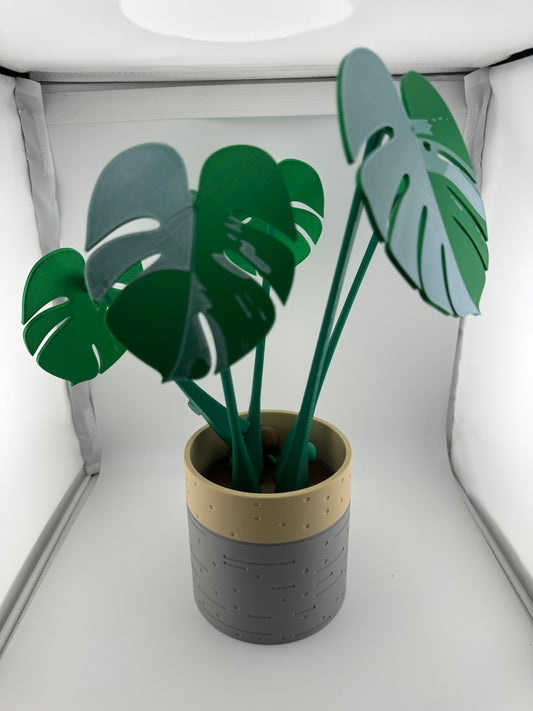 Coaster -- 3D Printed -- Monstera Coaster Set