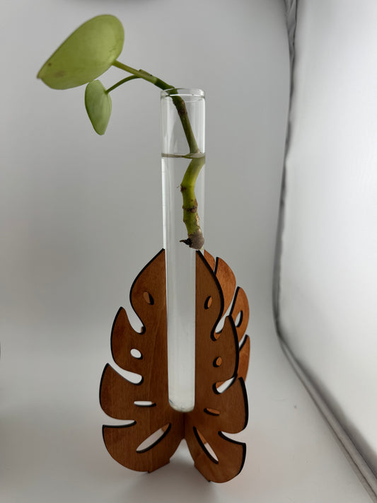 Propragation Station -- Laser -- Monstera -- Large