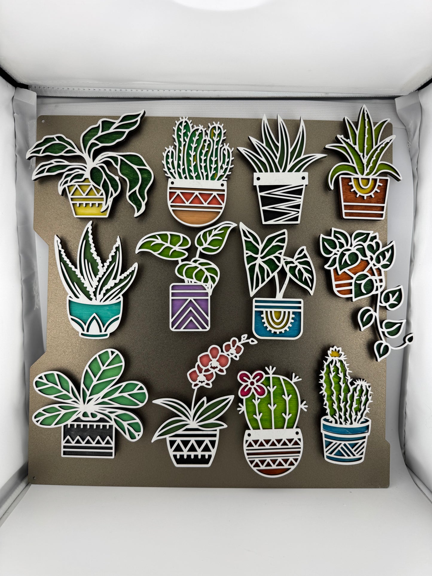 Magnet -- Laser -- Wooden -- Cactus