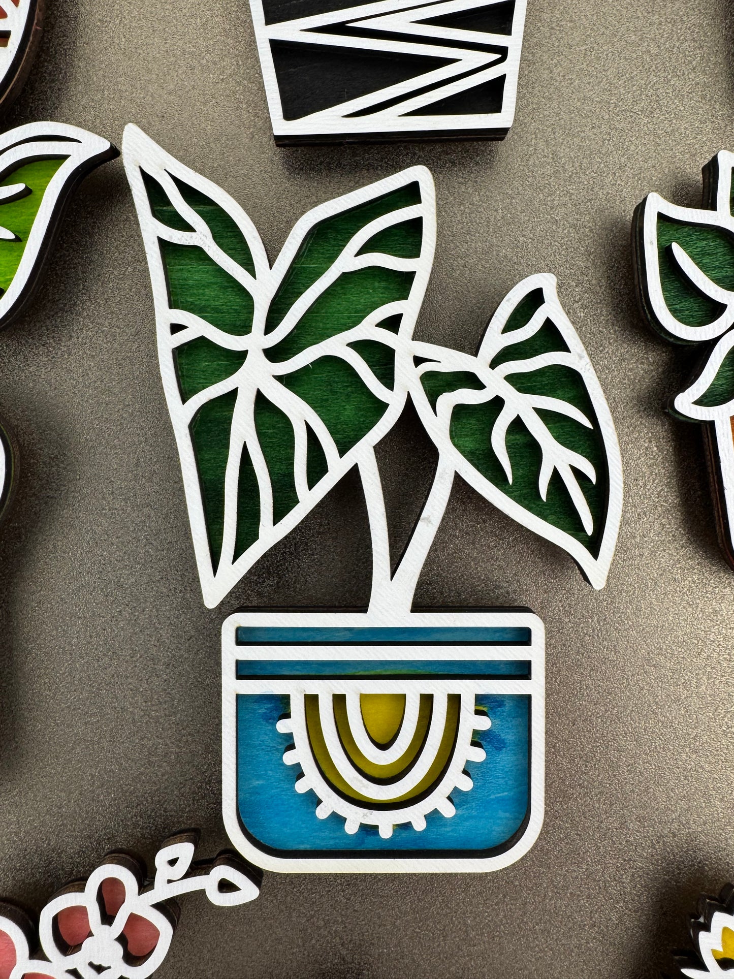 Magnet -- Laser -- Wooden -- Cactus