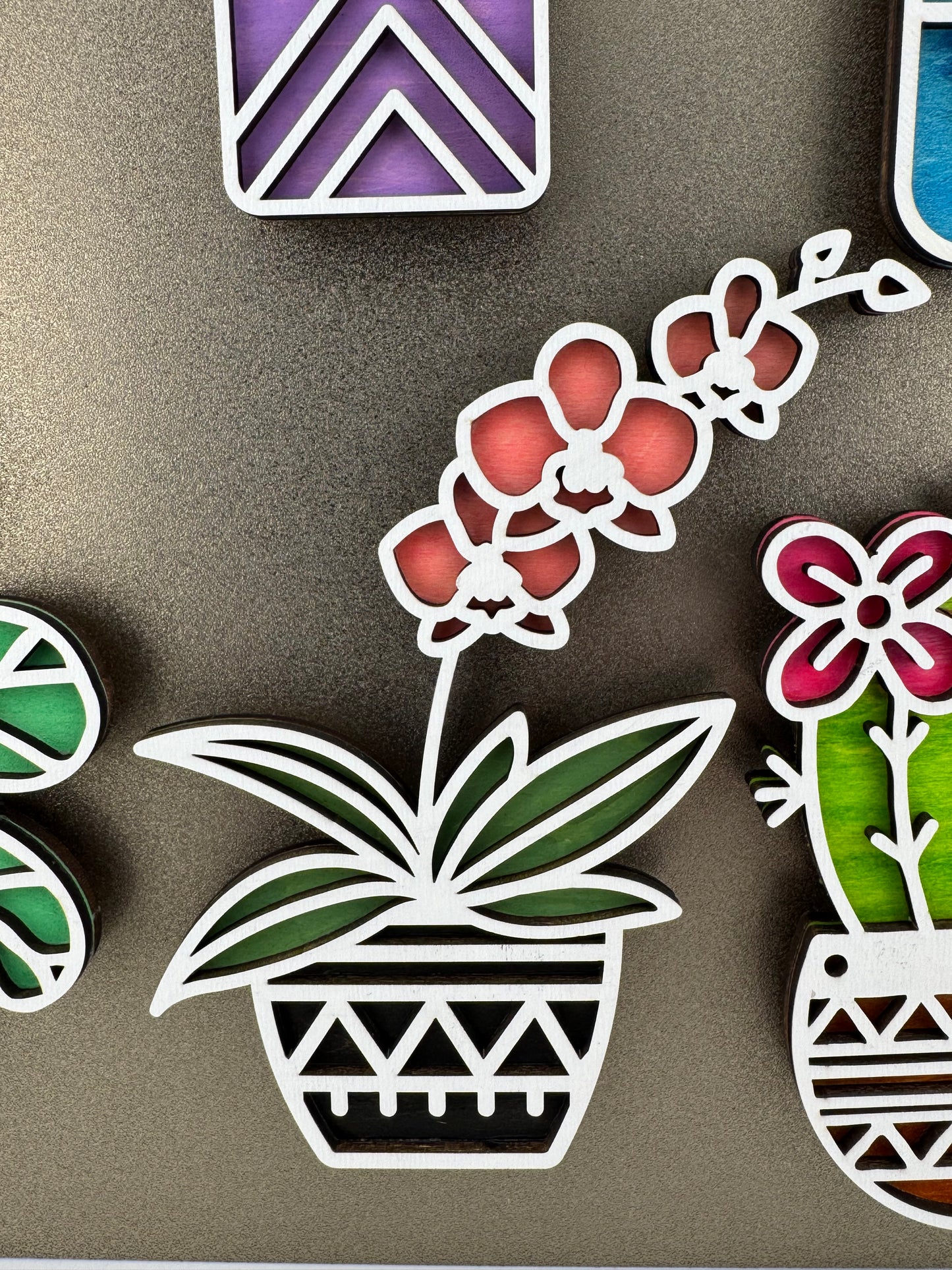 Magnet -- Laser -- Wooden -- Cactus
