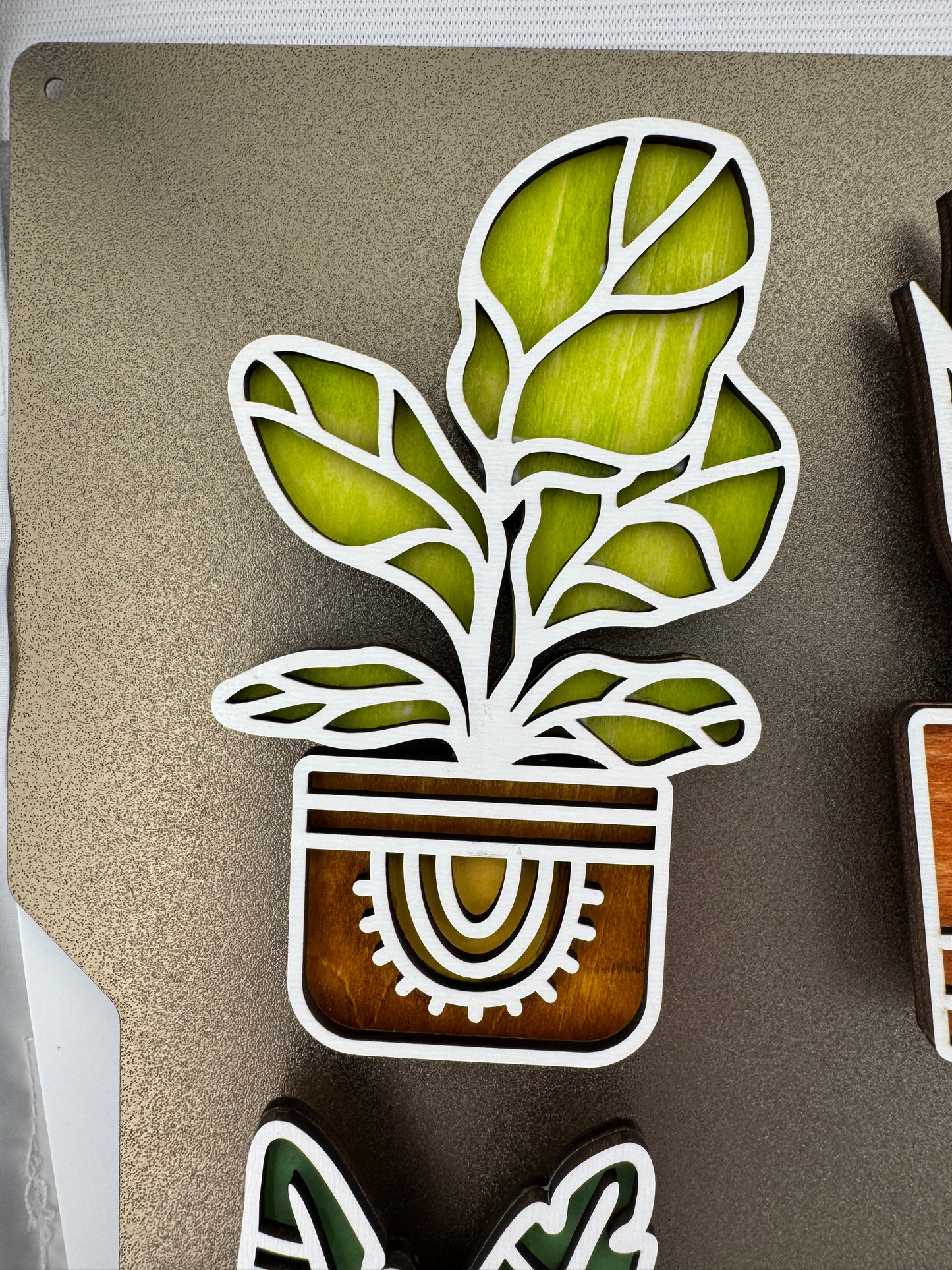 Magnet -- Laser -- Wooden -- Cactus