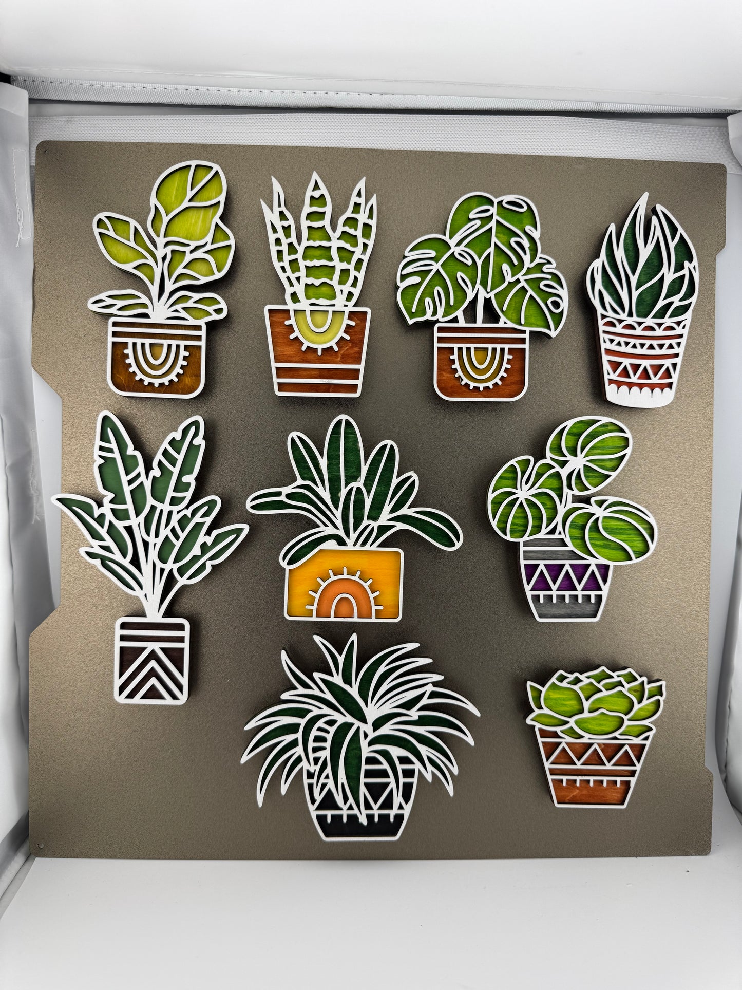 Magnet -- Laser -- Wooden -- Cactus