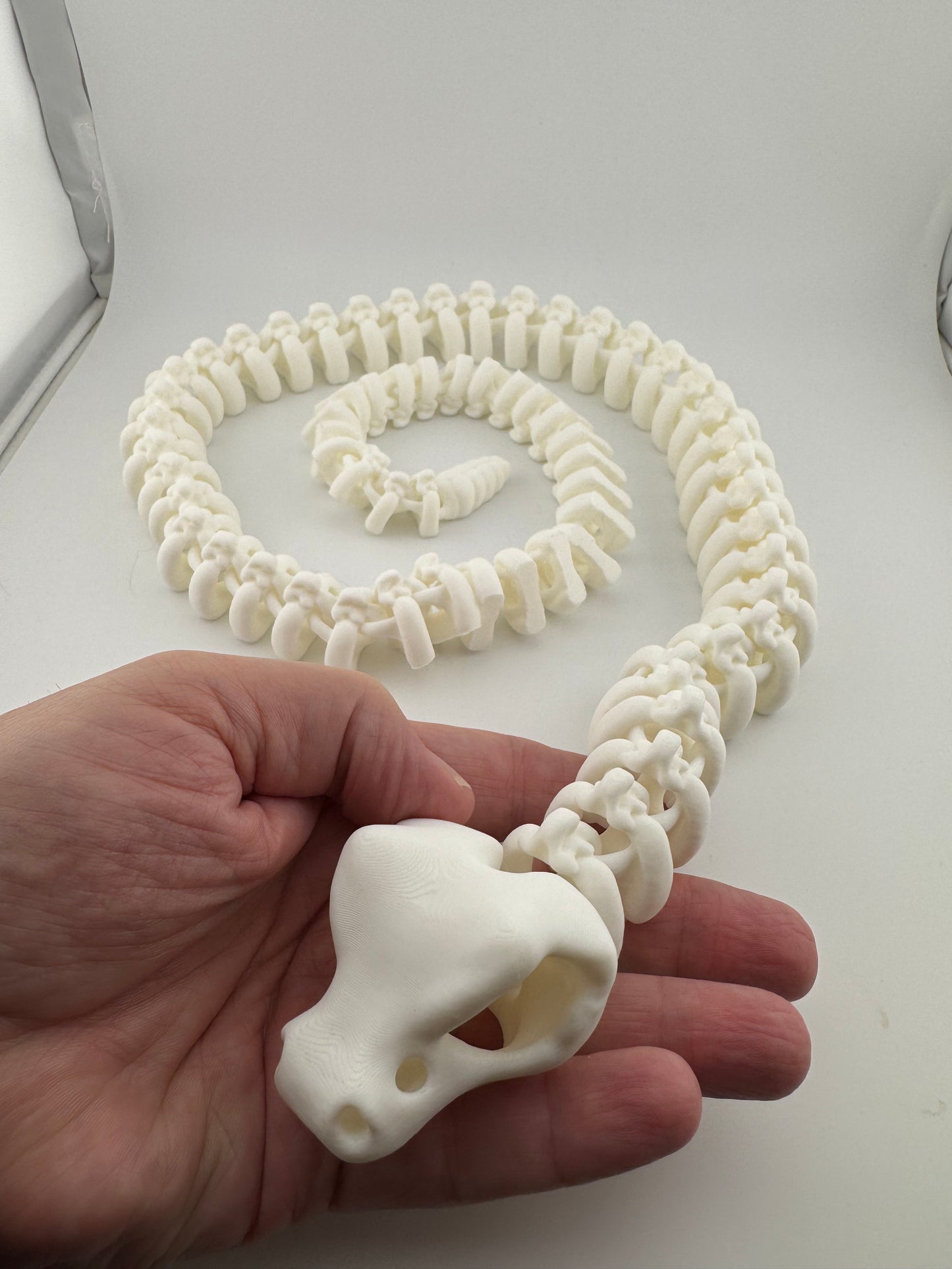 Reptile -- 3D Printed -- Skeleton RattleSNEK